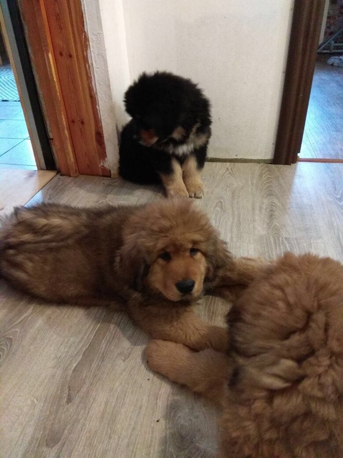 ����� � ������ ����