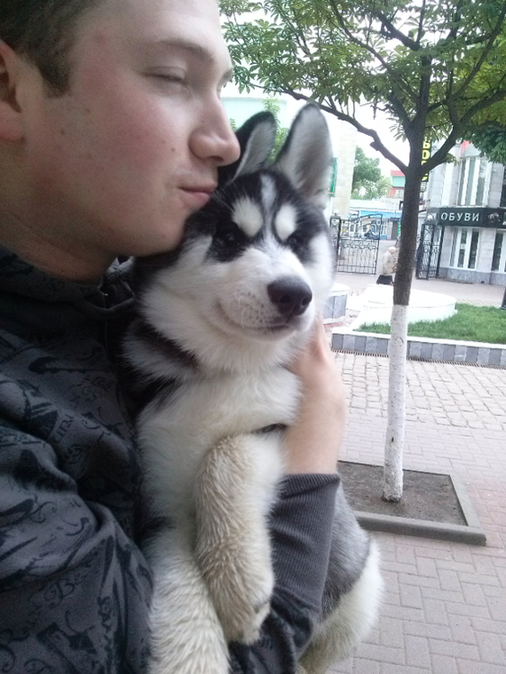 The photo of a Syrian teenager who traveled 500 km to Greece did not leave his beloved husky puppy quickly spread around the world. - Husky, People, Dog, Friend, Person, Longpost