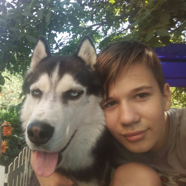 The photo of a Syrian teenager who traveled 500 km to Greece did not leave his beloved husky puppy quickly spread around the world. - Husky, People, Dog, Friend, Person, Longpost