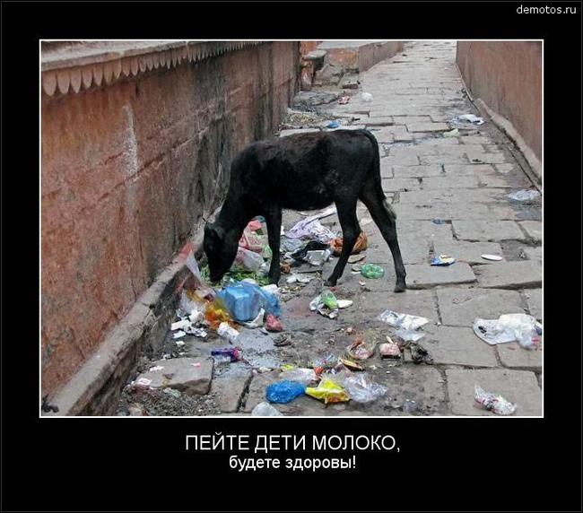 Drink, children, milk. You will be healthy))))) - Garbage, Milk, Children, Demotivator