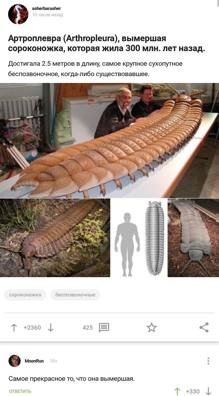 Kill it with fire - Centipede, Screenshot, Comments on Peekaboo, Arthroplevra, Humor