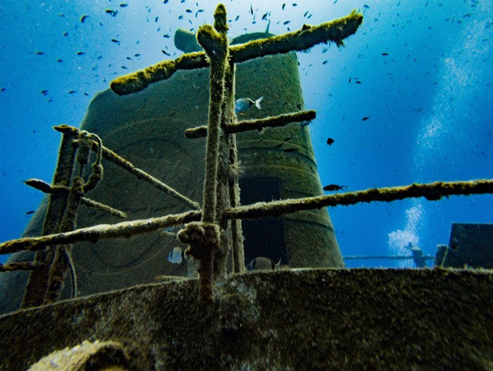 Notes of a girl diver. Malta Um El Faroud - My, Diving, Malta, Underwater world, , Sunken ships, Longpost