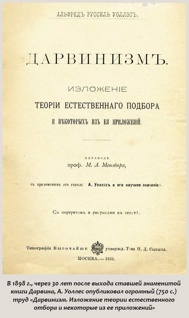 Чарлз Дарвин и эволюционная теория. Часть 2 - История, Наука, Эволюция, Чарльз Дарвин, Биология, Теория эволюции, Естественный отбор, Длиннопост