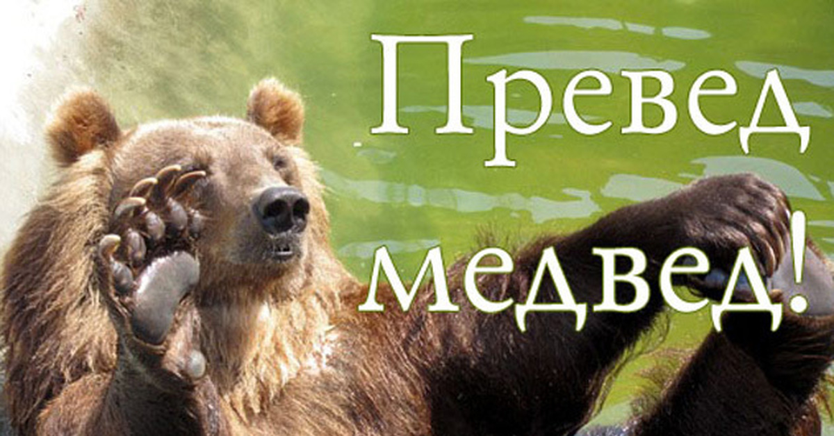 Превед медвед картинки