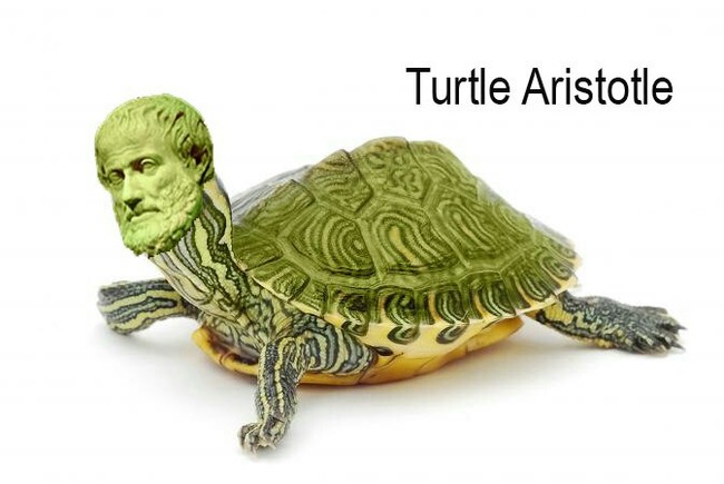 Turtle Aristotle - My, Philosophy, Memes, Cinder blocker, Art, Studies, Aristotle, Turtle