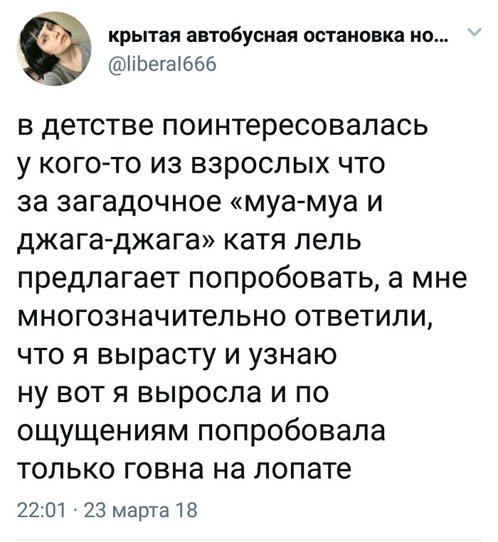   X (Twitter),  
