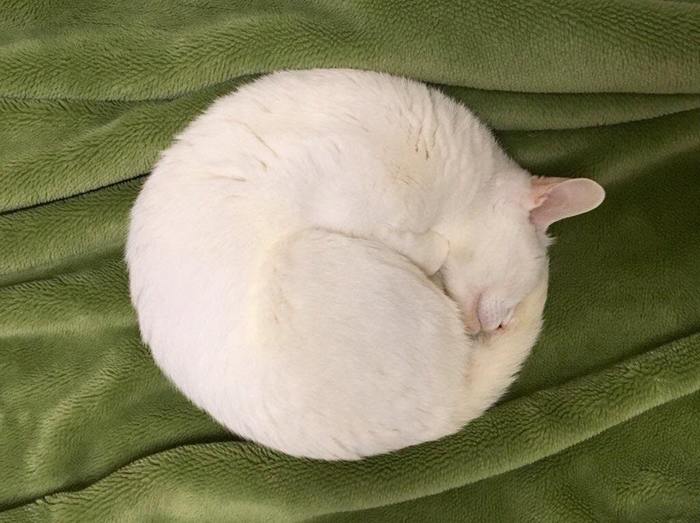 Идеальное - О