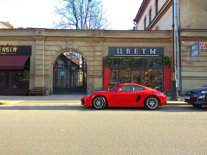 Snap me? - My, Porsche, Pigeon, Saint Petersburg, 