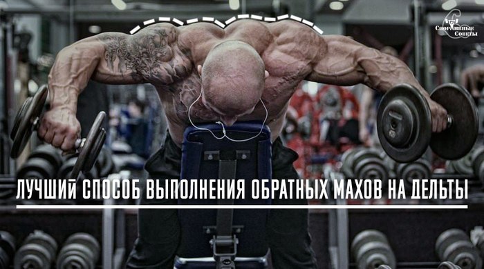 Лучший способ выполнения обратных махов на дельты - Моё, Спорт, Тренер, Спортивные советы, Мышцы, Исследования, Тренажерный зал, Тренажер, Спортзал, Длиннопост