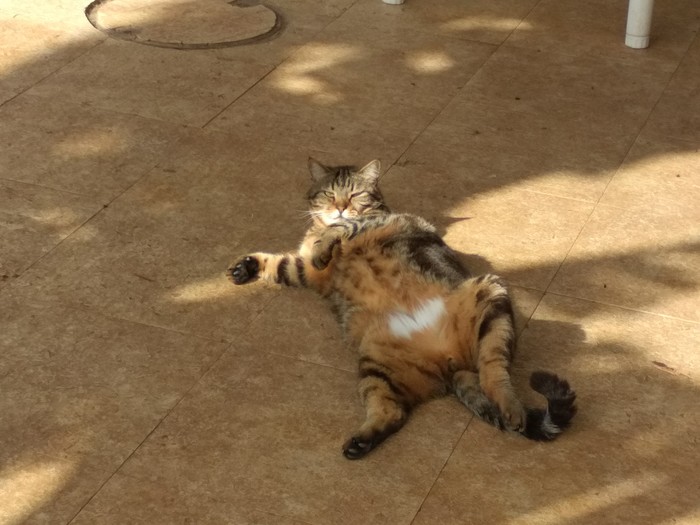 ��������� ����� �� ������...