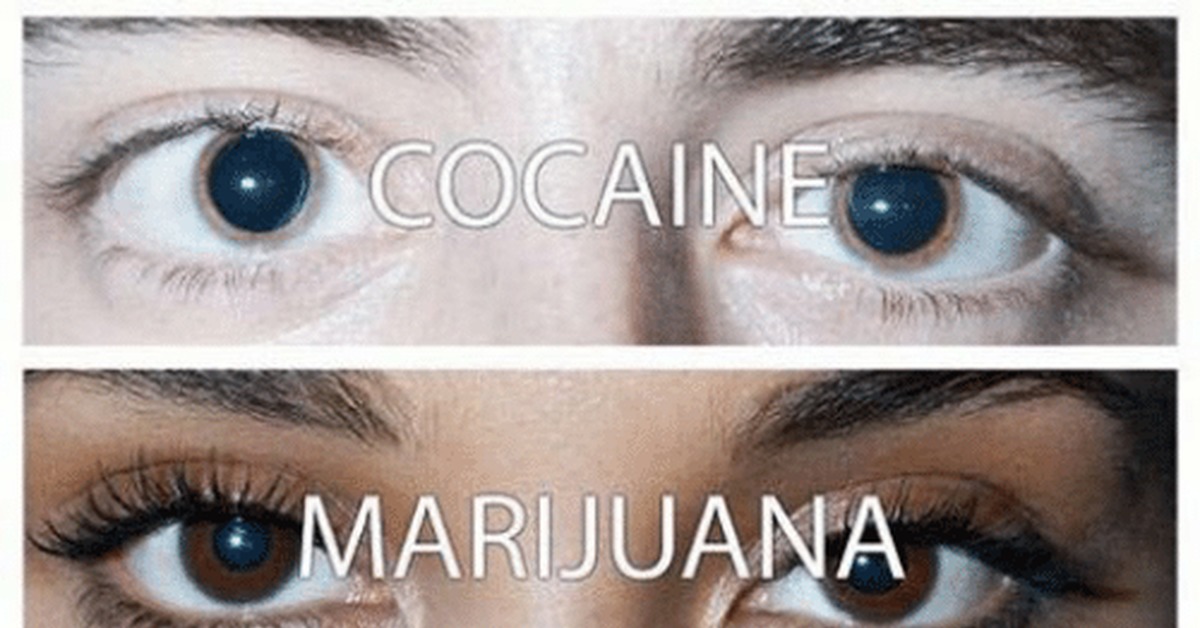 После кокаина марихуана история названия марихуана