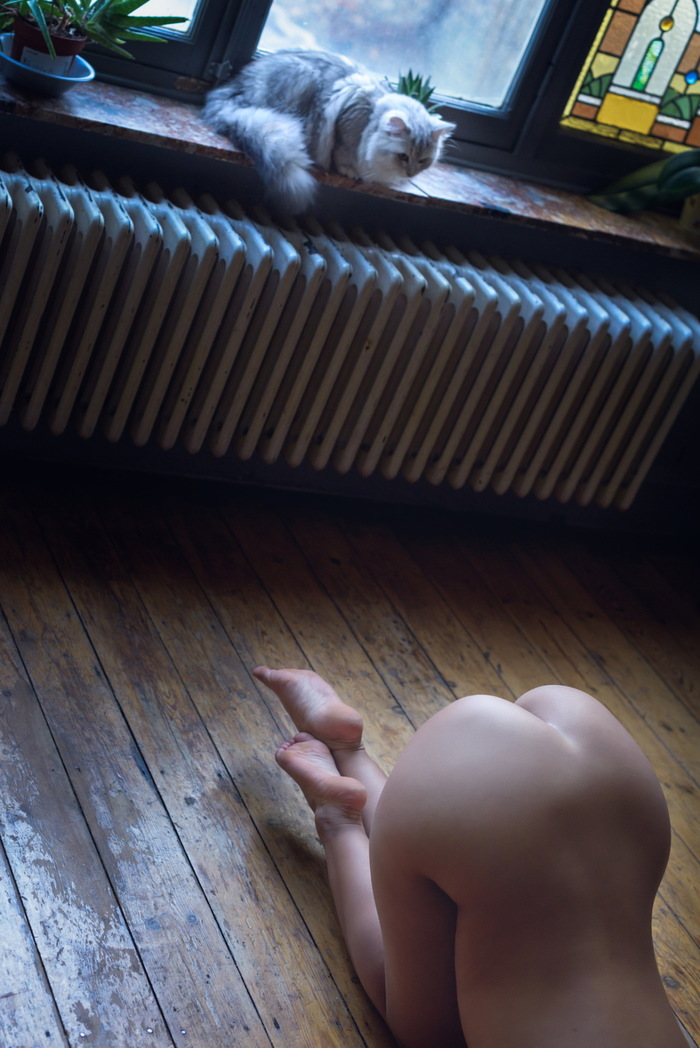 Observer... - NSFW, cat, Figure, Wooden floor, beauty