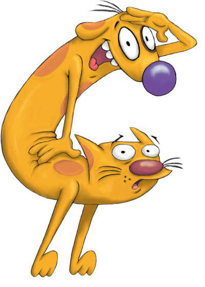 Catdog - you know the song from childhood, but who sang it? - My, Cartoons, Music, Help, Kotopes, Performers, Text, Catdog (cartoon)