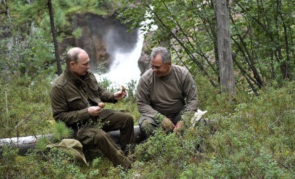 Грибники - Владимир Путин, Не политика