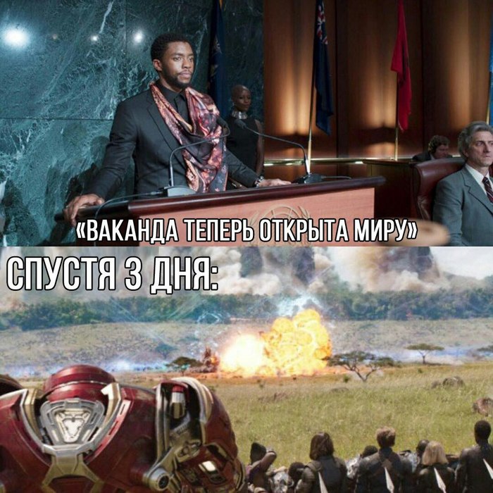 Express Delivery of Democracy - Avengers: Infinity War, Humor, Black Panther