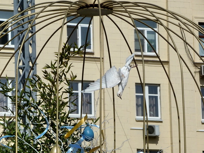 Moscow was decorated with dead pigeons for Easter - My, Moscow, Easter, Holidays, Longpost