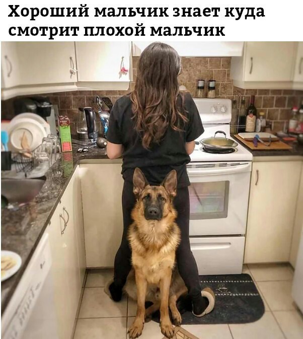 ��� ������ �������?