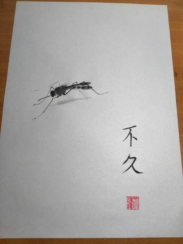    ,  , , Mosquito Chinese painting, , Chinese painting, 