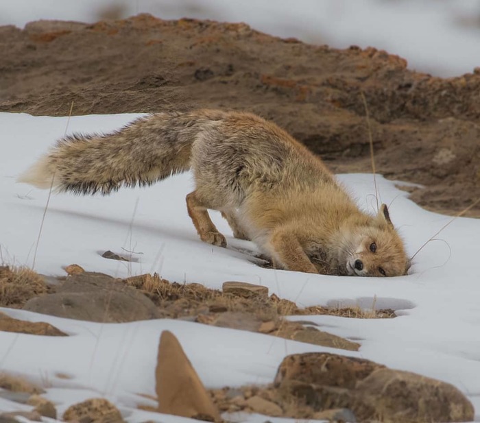 Ты что там пищищь, а ну иди сюда ! ^.^