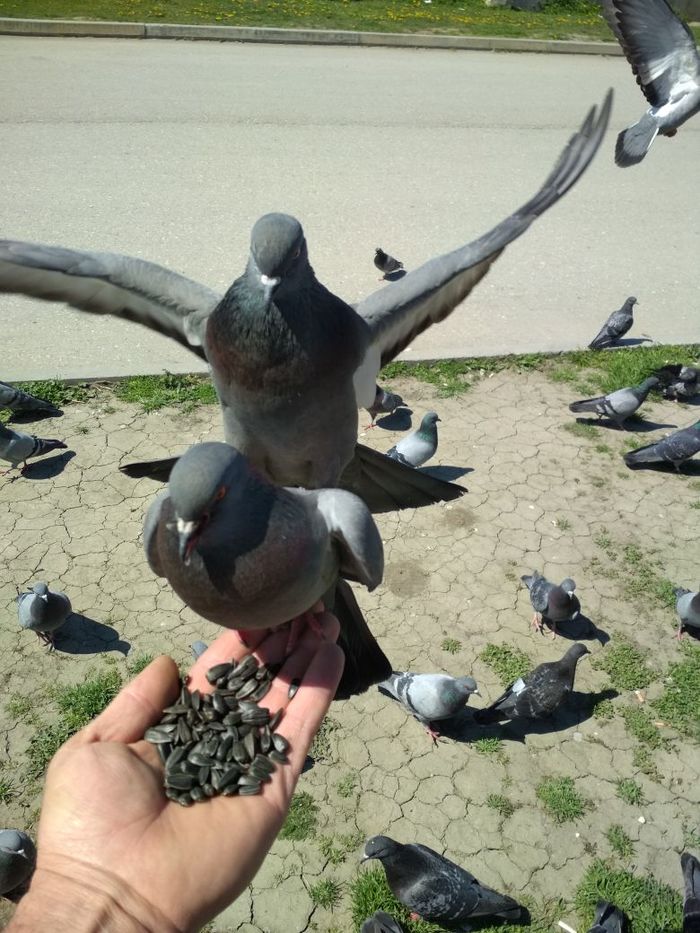 Война войной, а обед по расписанию