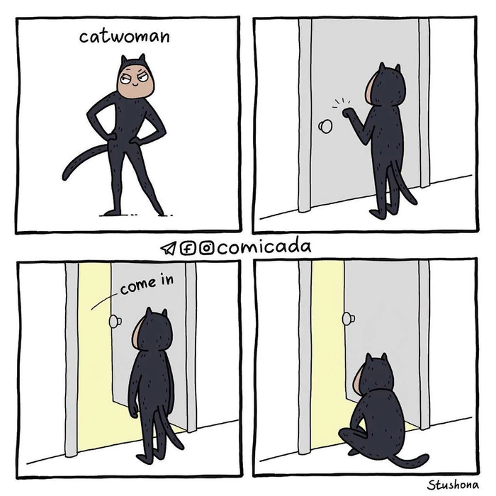 Catwoman vs Catman , -, , Instagram, DC Comics