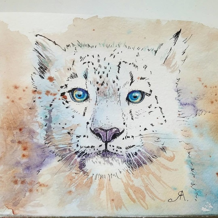 Series Animals under the protection of WWF. Irbis. - My, Snow Leopard, Animals, cat, WWF, Drawing, Graphics, Sketchbook