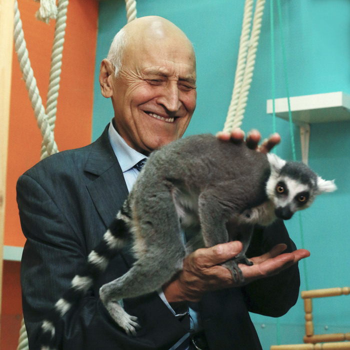 Nikolai Nikolaevich Drozdov at the zoo - My, Nikolay Drozdov, In the animal world, Zoo, Meerkat, Lemur, Raccoon, Longpost