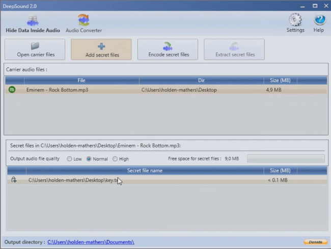 Hiding Secret Files Inside an Audio Recording Like Mr. Robot (DeepSound) - My, Steganography, Safety, Anonymity, Hackers, Longpost