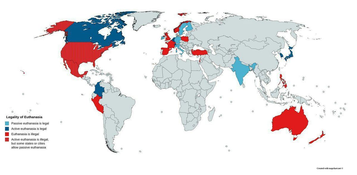 В каких странах проводят. Эвтаназия карта мира. Эвтаназия в мире карта. Эвтаназия легальность в мире карта. Правовой статус эвтаназии.