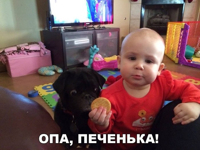       (), , , 