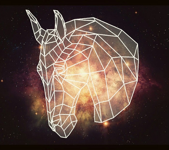 A little bit of graphics - My, Corel draw, Animals, Polygonal graphics, Longpost, Low poly