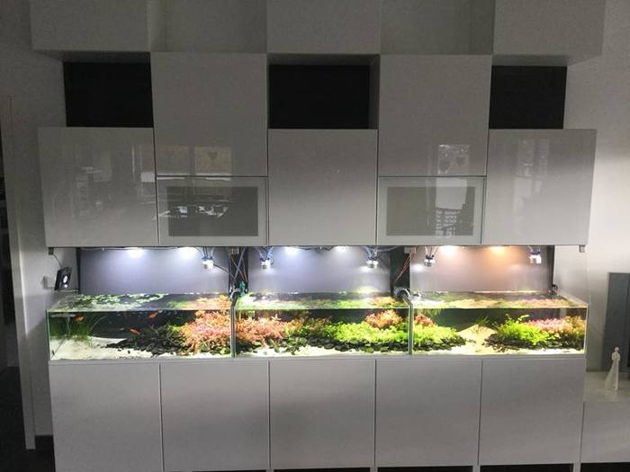 Вместо кухни)) автор Meinolf Mhling