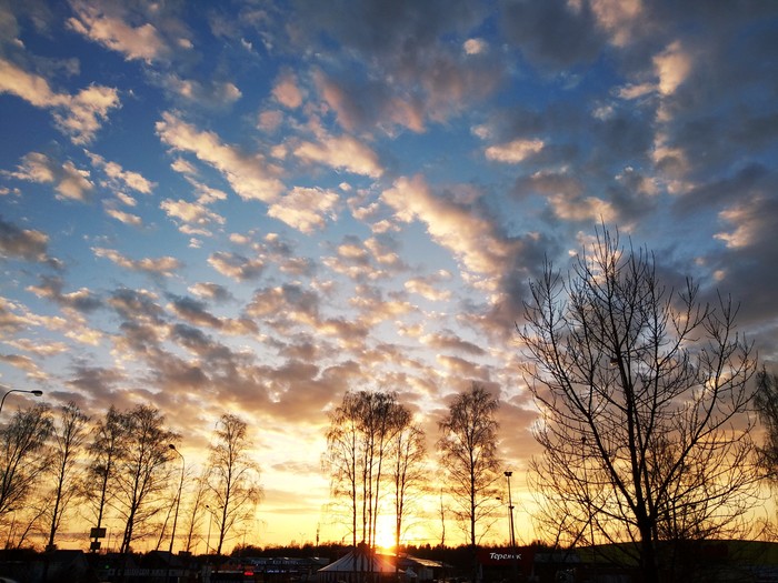 Красота рядом! Нужно чаще поднимать взгляд вверх!
