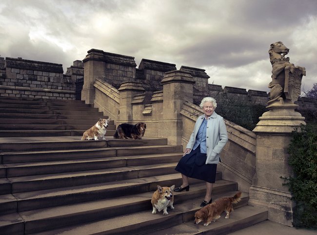 Queen Elizabeth II's last corgi has died. - Queen Elizabeth II, Corgi, Video, Longpost