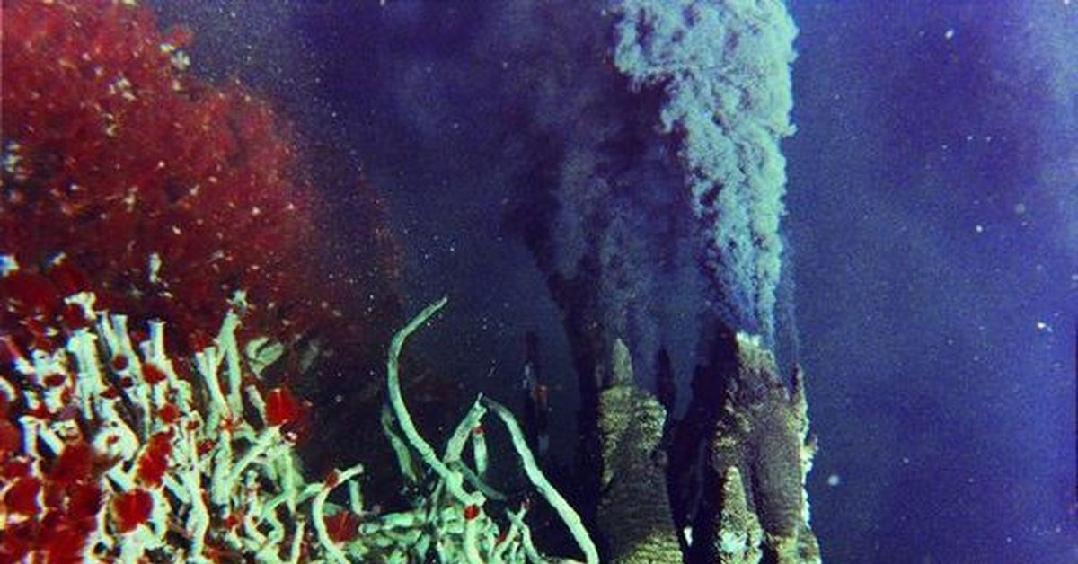 В глубоководных сообществах океана отсутствуют. Подводный вулкан Кавио барат. Гидротермальные источники черные курильщики. Чёрные курильщики на дне океанов. Подводные курильщики.