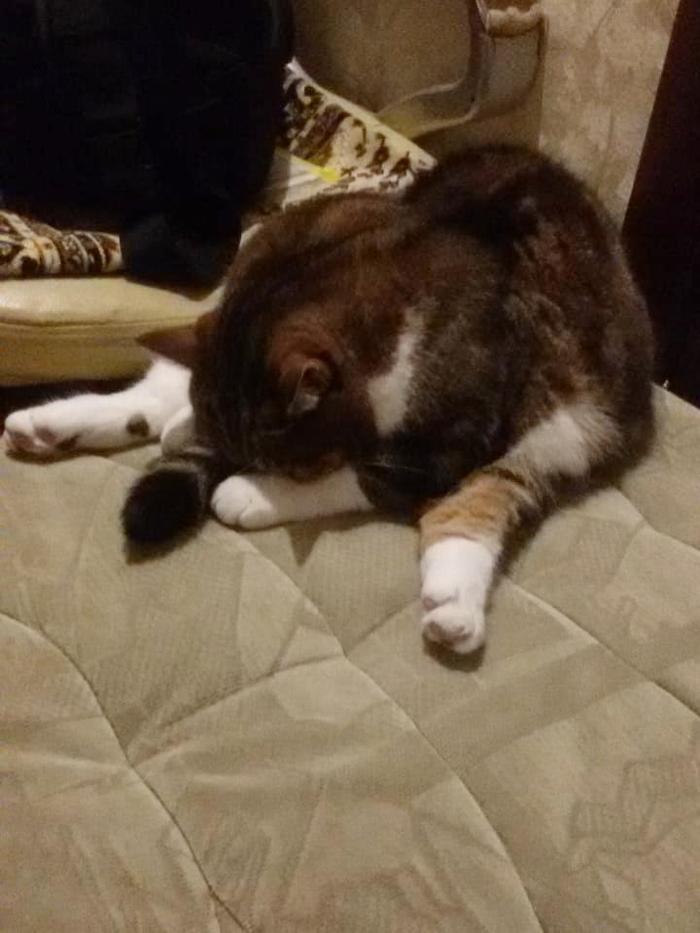 ����������