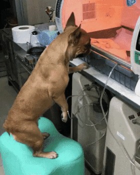 Переживания мамы