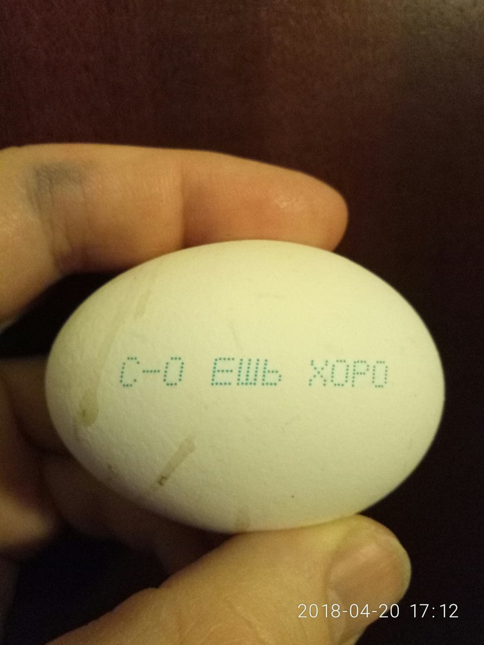 Choice variety, eat good - My, Inscription, Eggs