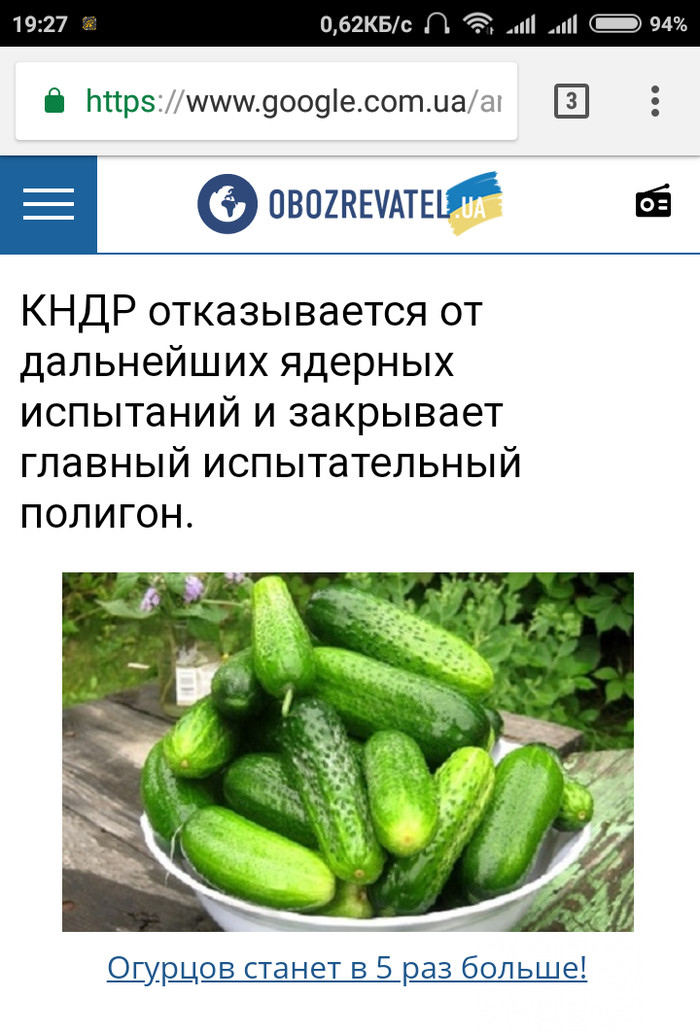 Sow cucumbers, not war. - Advertising, , news, Cucumbers, North Korea