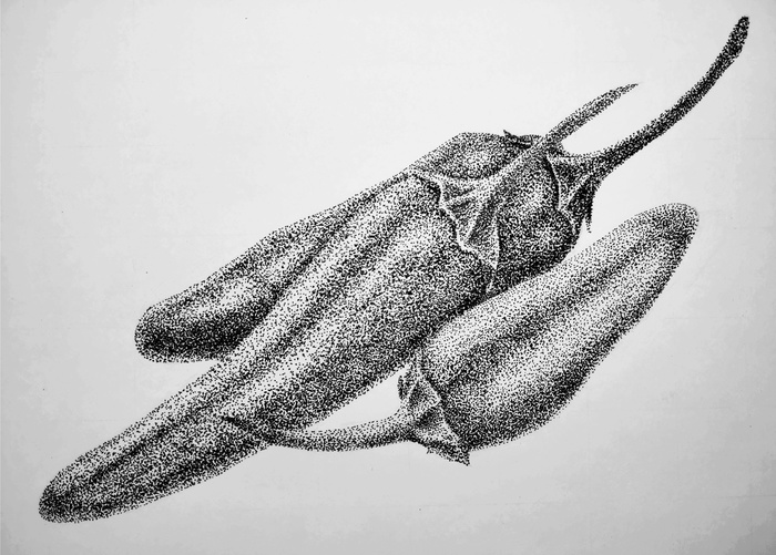 Dotwork.  . Dotwork,  ,  