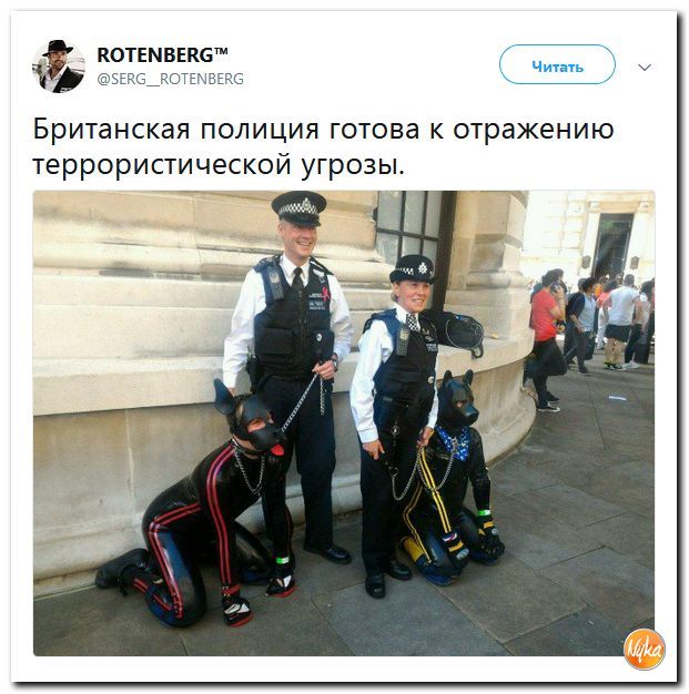 Так много вопросов...
 - Twitter, Социальные сети, Nyka, Полиция, Дичь