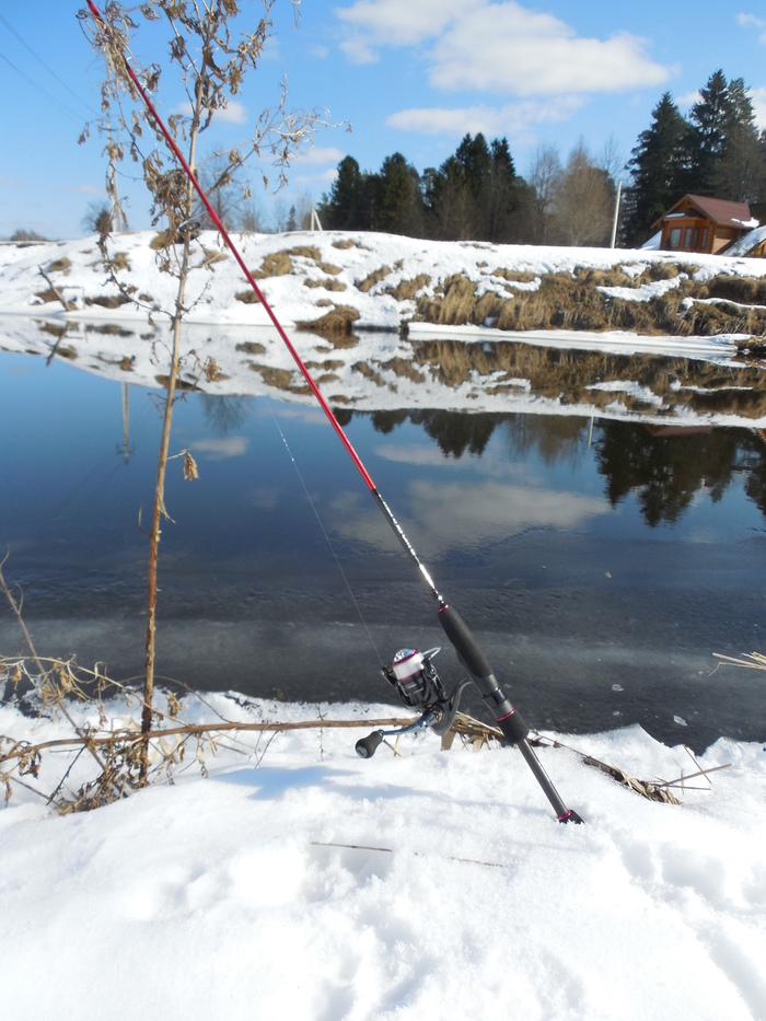 Opening of the liquid water season. - My, beauty, River, Leningrad region, Fishing, Spinning, Longpost