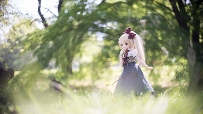 DollfieDream -   Dollfiedream, , , , 