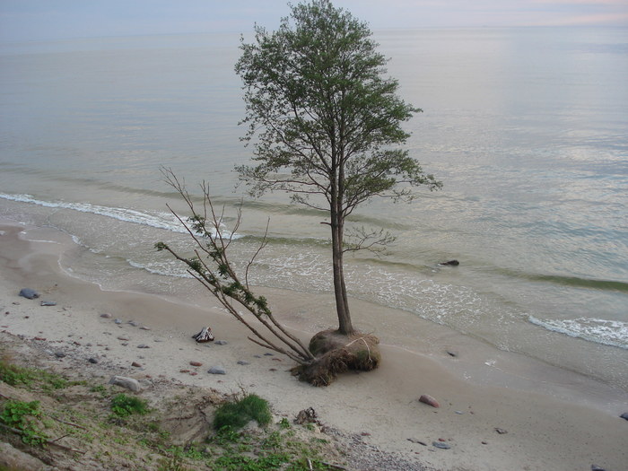 Baltic sea shore - My, Sea, Shore, Nokia 3310