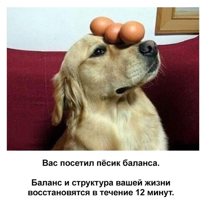     , , , 