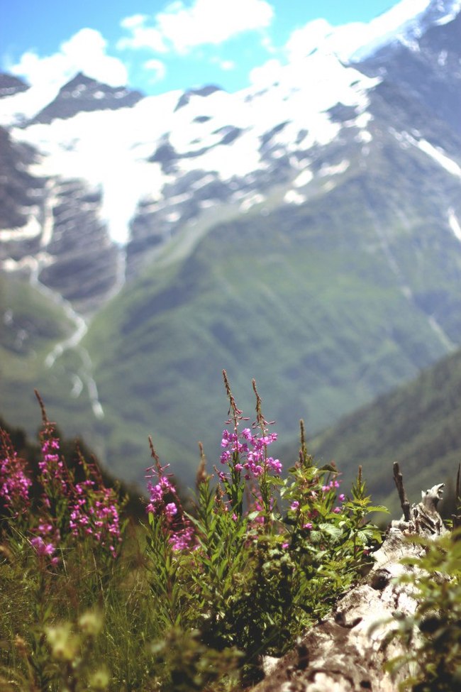 Elbrus - My, Elbrus, The mountains, , Travels, Longpost