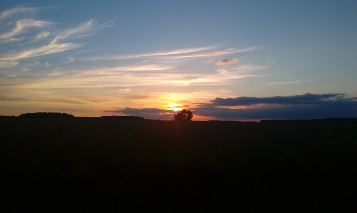 Summer sunset - Sunset, Field