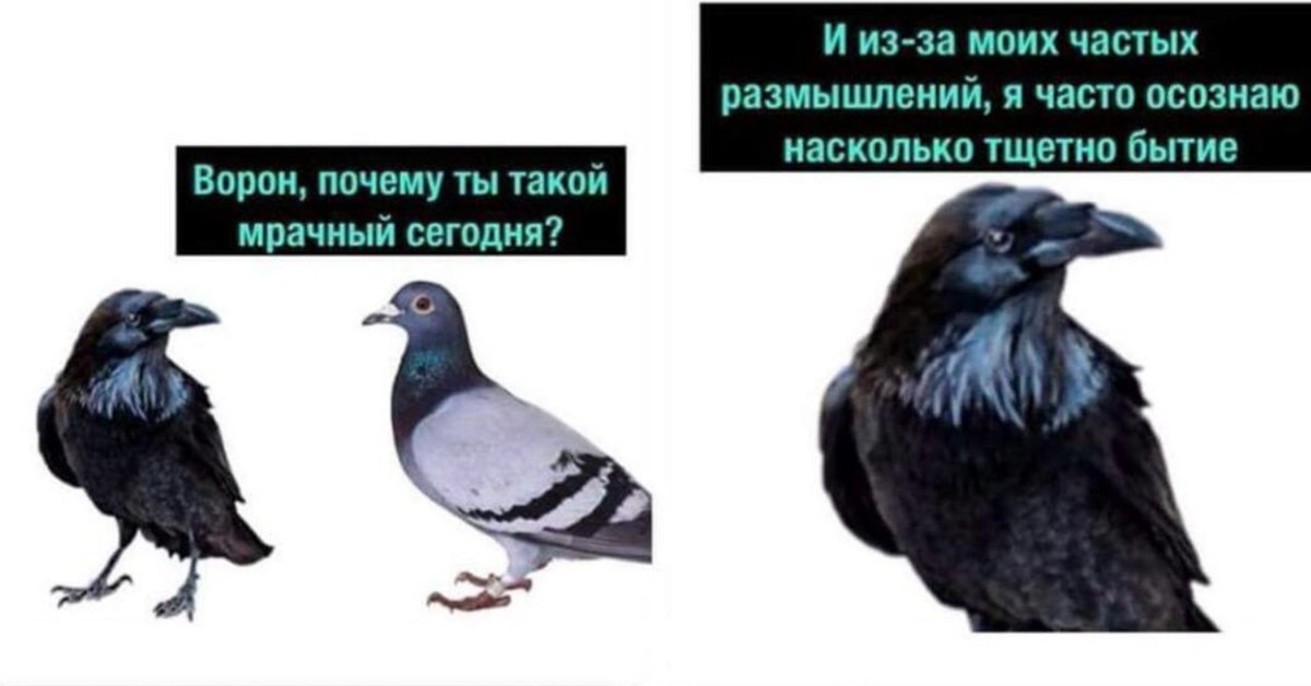 Если видите на картинке ворону надо бросать пить