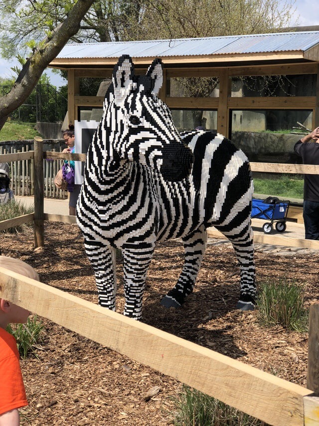 Lego Zebra - Lego, zebra, Zoo, Reddit