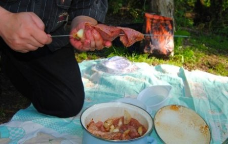 Pork variation of the Karsk shish kebab - Food, Recipe, Cooking, Shashlik, Pork, Longpost